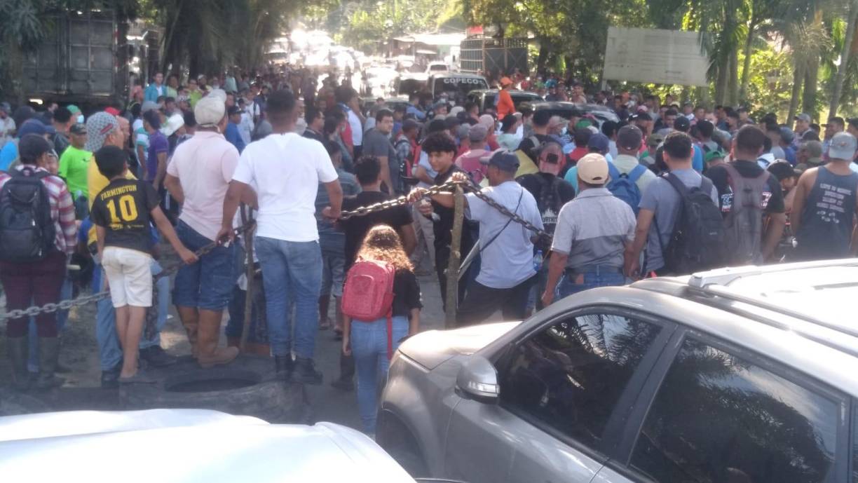 Según manifiestan, temen perder sus empleos, como ya lo perdieron alrededor de tres mil empleados en el último año a consecuencia de las invasiones.