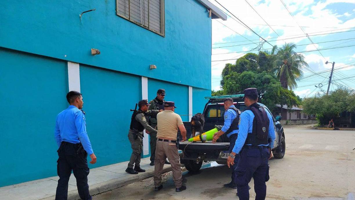 Las dos mujeres adultas presentan múltiples <b>mordeduras</b> en diferentes partes del cuerpo.