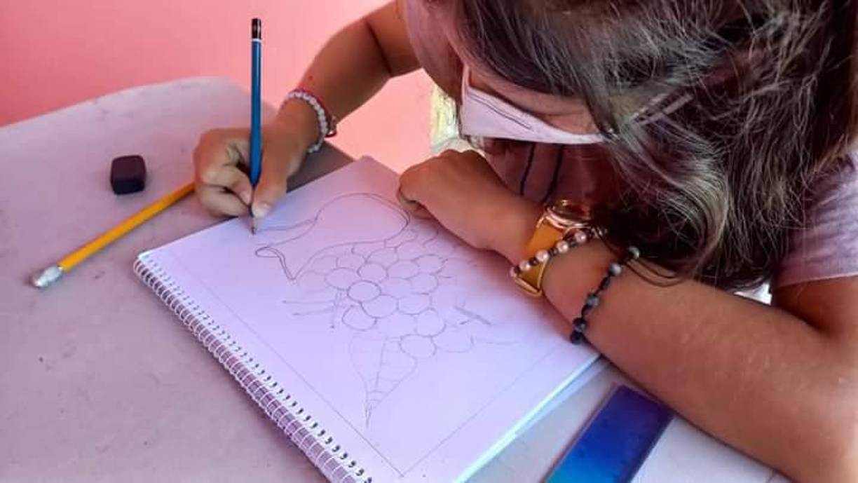 Las clases de dibujo se imparten los días martes y jueves, en horario de 9:00 am a 12 del mediodía.