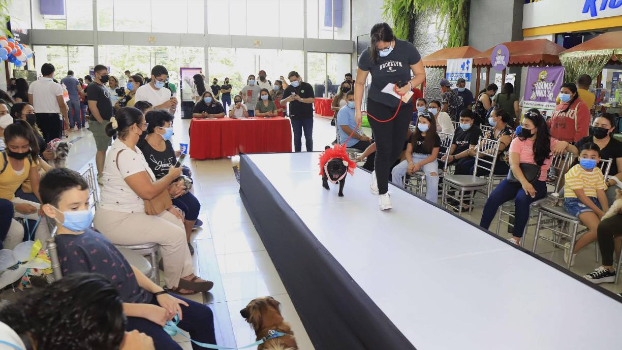 Sacaron sus mejores galas. 