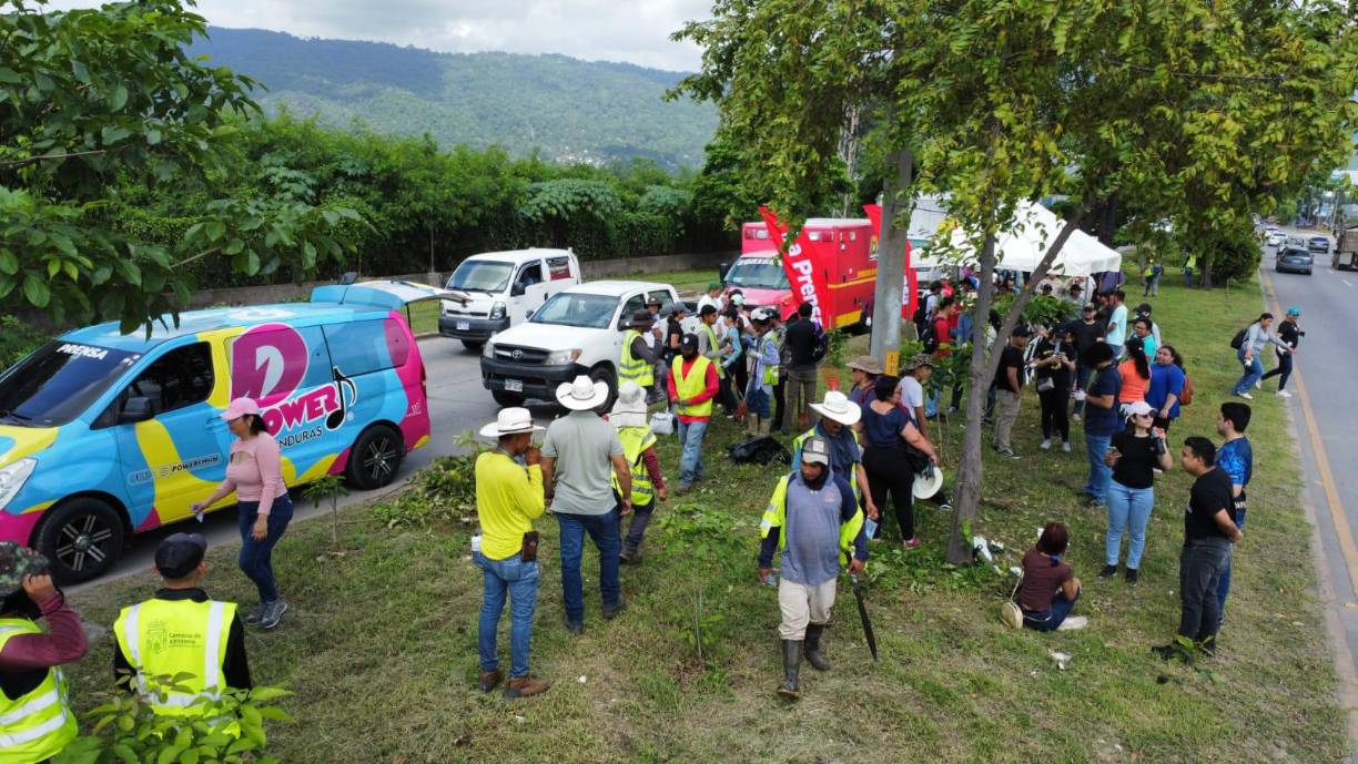 Son <b>18,000 metros</b> intervenidos, mismos que el próximo <b>sábado 20 de julio</b> recibirán la plantación de <b>1,500 árboles de macuelizo</b>.