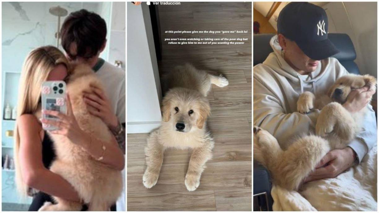 Por otro lado, la modelo mencionó que el cantante aún conserva la mascota que le había regalado mientras estaban juntos y se ha desentendido de su cuidado. Asegura que el perrito seguramente se encuentra con gente “extraña” de su equipo ya que el cantante nunca se encuentra por mucho tiempo en algún lugar. Exigió que se lo devolviera.