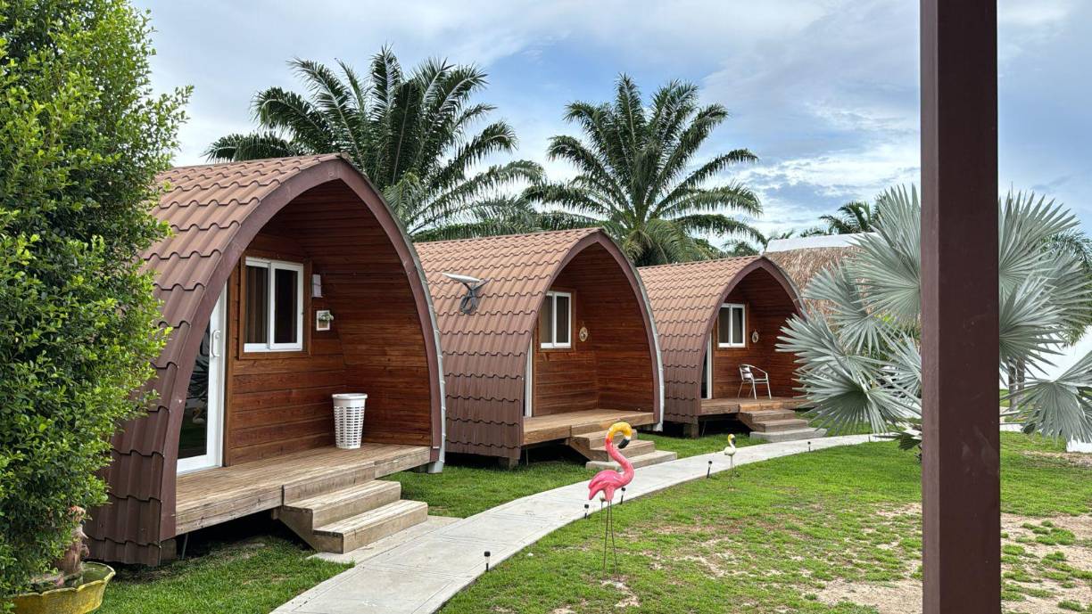 Además, se allanó un complejo turístico, ubicado en la Aldea La Granadita en la Ceiba, propiedad del investigado. 