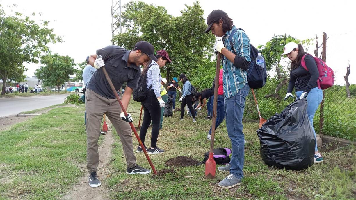 “Sembrando Esperanza” será desarrollada durante cuatro fines de semana consecutivos en su primera etapa y llegará a tres sectores de San Pedro