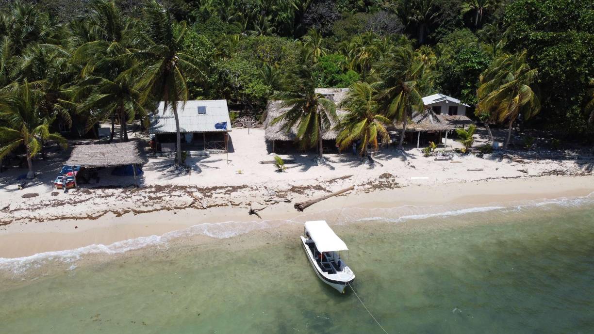 En ese tiempo se pueden realizar muchas actividades como bañar en el agua cristalina, recorrer senderos del Parque Nacional Jeannette Kawas, practicar esnórquel y comer deliciosa gastronomía que ofrecen las familias que residen en la zona.