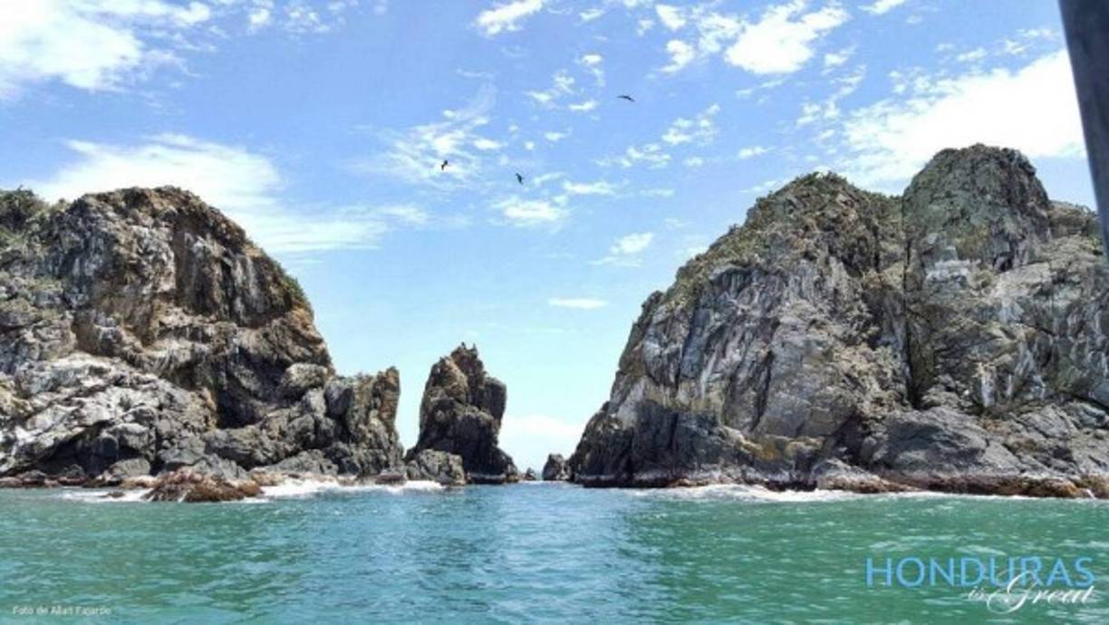 Cuando se llega al Parque Nacional Jennette Kawas es realmente impresionante cuando uno se acerca a enormes farallones rocosos donde miles de aves descansan entre pesca y pesca, una de las múltiples recompensas de visitar tan maravilloso lugar. Foto de Allan Fajardo