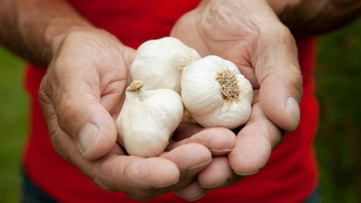 8. Puede aumentar el deseo sexual de los hombres que experimentan impotencia.