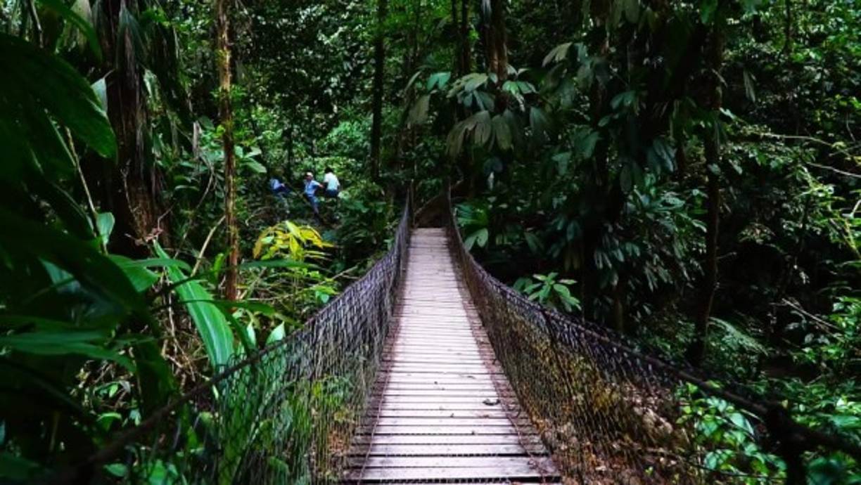 El parque es administrado por la ONG Proyecto Aldea Global.