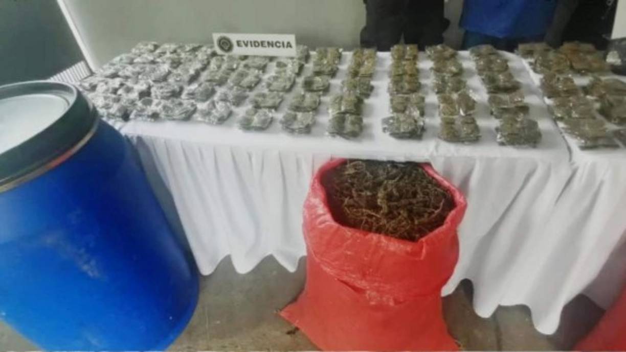 Agentes policiales calculan que en total se decomisaron más de 150 libras de supuesta marihuana.