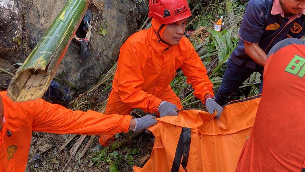 Según ellos, esta deforestación que sufre el país es provocada a manos del hombre y que está devastando sus bosques tropicales.