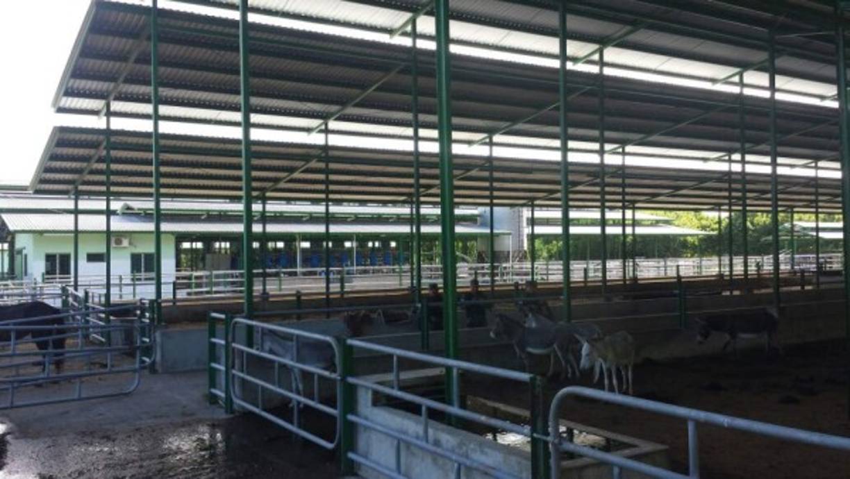 Una de las casas incautadas en el marco de la “Operación Orca” en La Ceiba del narcotraficante hondureño Francisco Javier Zelaya Fúnez, condenado en Estados Unidos.