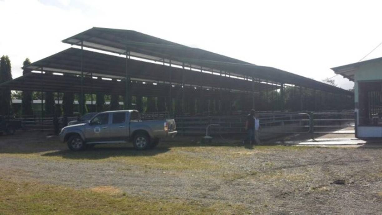 Cuatro de las sociedades mercantiles aseguradas están operando en los rubros de comercialización de productos marinos y la construcción.