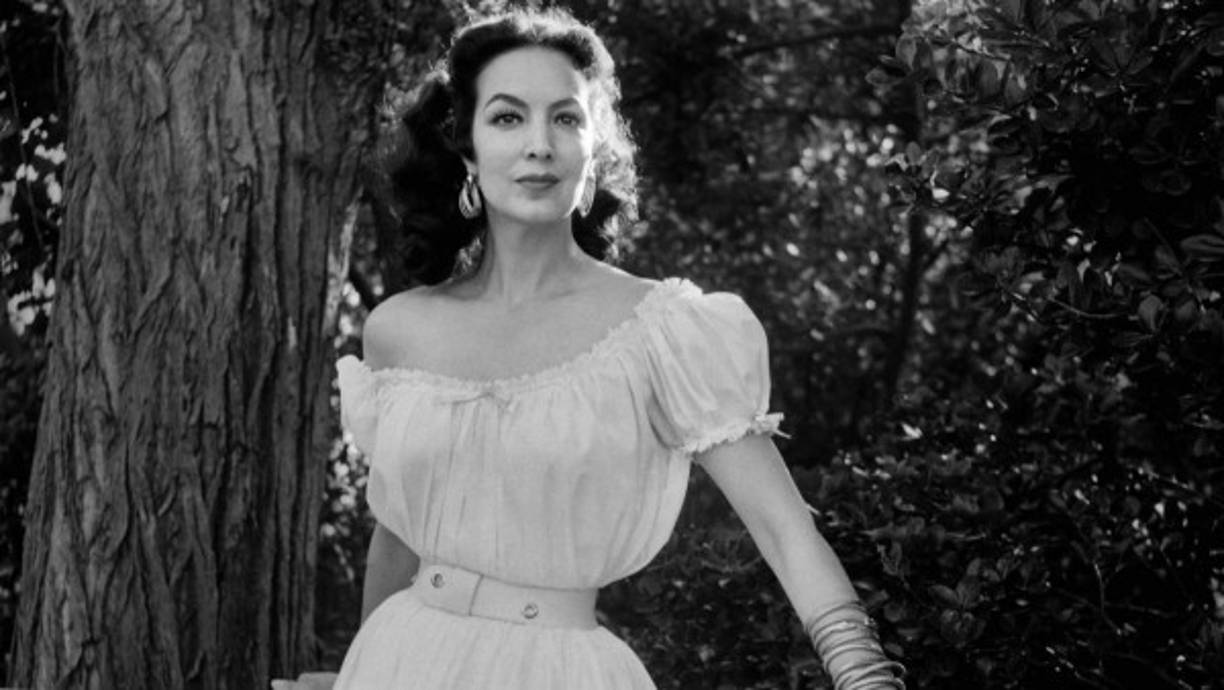 Luis Martínez de Alba firmó, de acuerdo con el abogado, una autorización a una asociación civil y una sociedad anónima para registrar marcas y aplicarlas a ciertos productos y servicios, pero no para producir contenidos audiovisuales. Tampoco les otorgó derechos sobre la biografía de 'La Doña'.