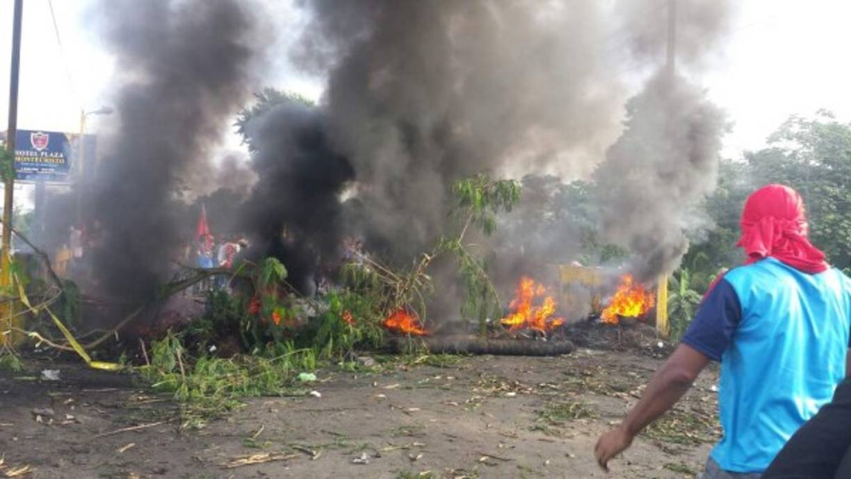 Los manifestantes también han utilizado árboles para bloquear las vías. Esta mañana, un ciudadano falleció luego de que su vehículo se estrellara contra un árbol que bloqueaba una carretera.