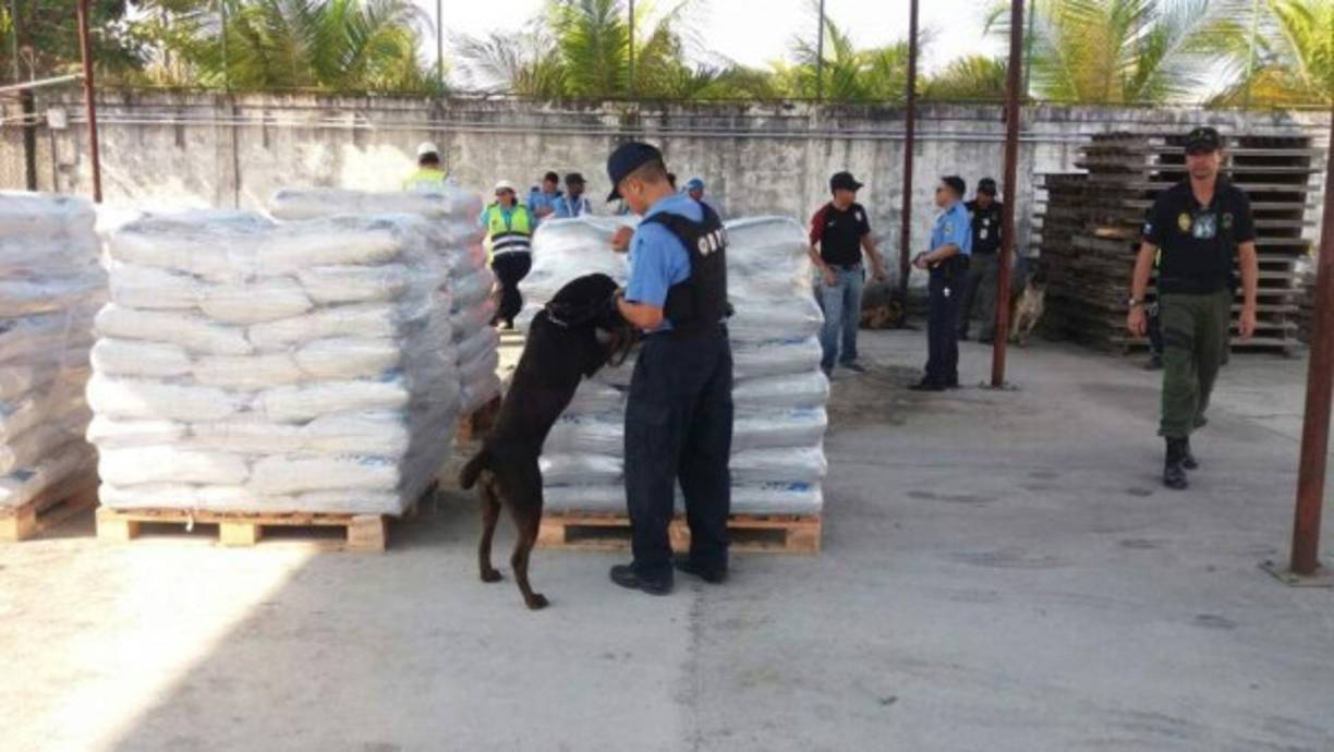 Supuesta cocaína encontraron en un cargamento de concentrado para pollos que llegó procedente de Colombia a la Empresa Nacional Portuaria (ENP) de Puerto Cortés. El hallazgo se hizo el martes al realizar la inspección regular a los contenedores que ingresan al país, por lo que al notar irregularidades en el cargamento las autoridades portuarias avisaron a la Policía de Fronteras.<br/><br/>