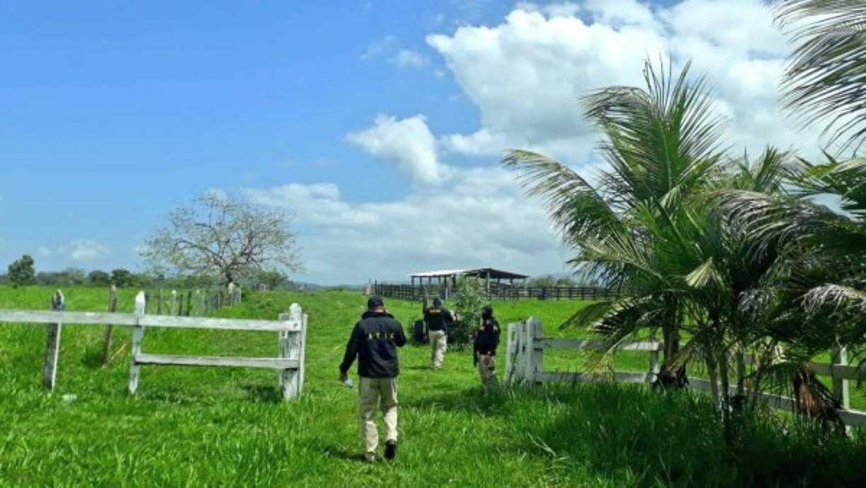 Aseguran en la aldea Guadalupe de Cedros, Francisco Morazán, una hacienda propiedad de Dilcia Judith Mejía Duarte, hermana de Sergio Neftalí Mejía Duarte.