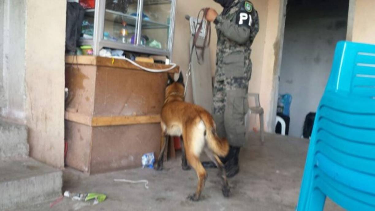 Elementos de la Policía Militar inspeccionaron las celdas de los centros penales de Santa Bárbara, Santa Pedro Sula, La Ceiba y Támara en busca de armas, droga y armas cortopunzantes.