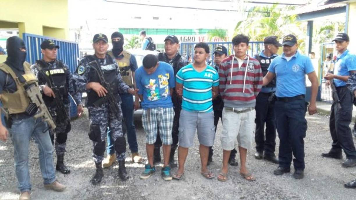 Los siete supuestos delincuentes fueron detenidos este lunes en el marco de la 'Operación Lempira' durante una serie de allanamientos en la colonia Las Delicias de La Ceiba, Atlántida.