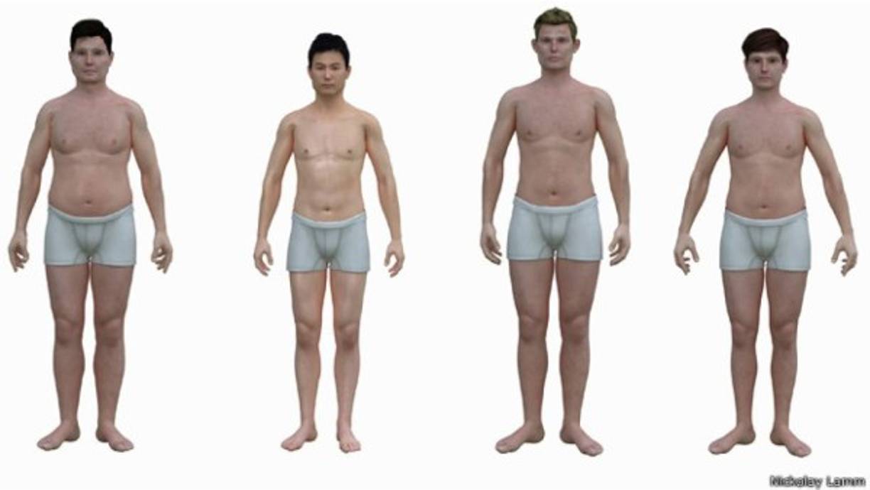 Los penes crecientes son más comunes<br/><br/>Un estudio sobre salud masculina informó que el 79 % de los hombres tienen penes de tipo «creciente» y que el 21 % restante, los tiene de tipo «exhibicionista».<br/>