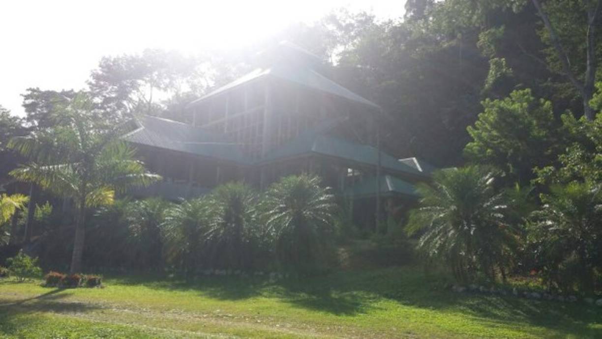 Francisco Javier Zelaya Fúnez fue declarado culpable el 8 de octubre de 2014 en Estados Unidos.