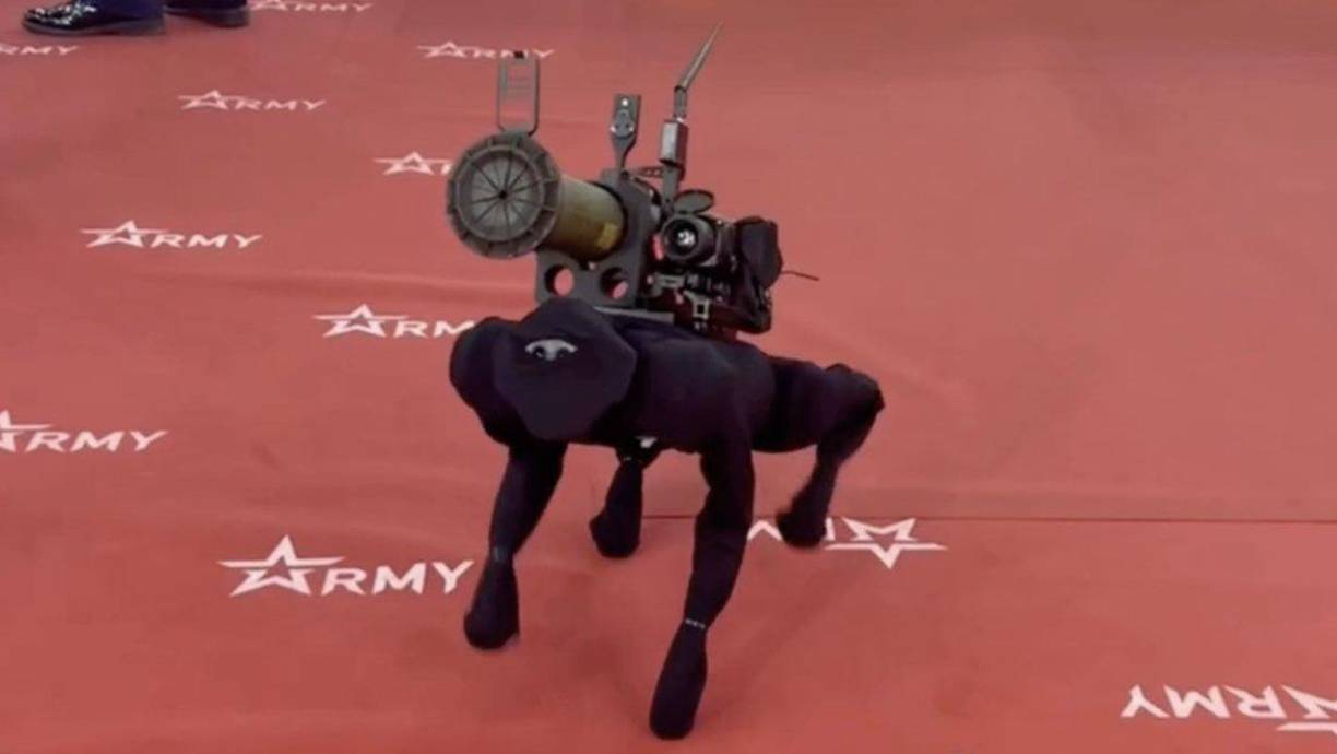 Rusia inauguró este lunes la mayor feria militar del país exhibiendo un perro robot con un lanzagranadas, prototipo del sistema robótico M-81, capaz de disparar a blancos y transportar armas, así como de participar en tareas de selección de objetivos, patrullaje y vigilancia, según medios locales. 