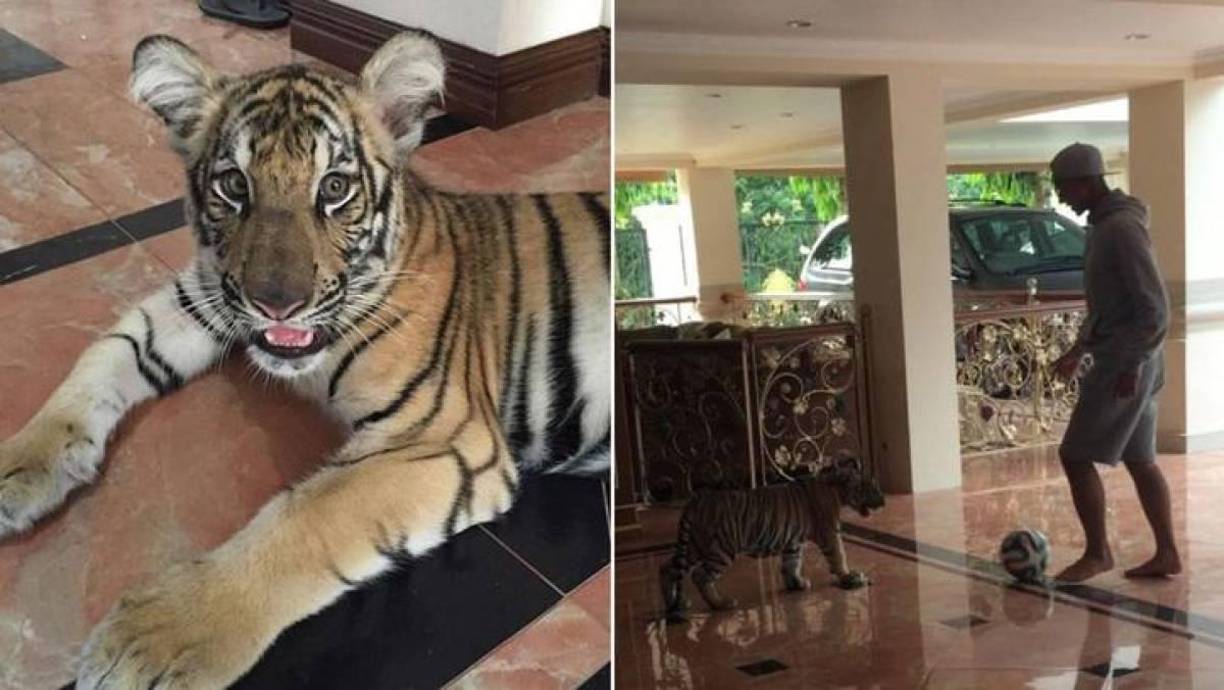 El delantero atraviesa una vida completamente distinta a la que se imaginaba, en términos futbolísticos .En su vida privada cuenta con todos los lujos y hasta tiene tigres como mascota.