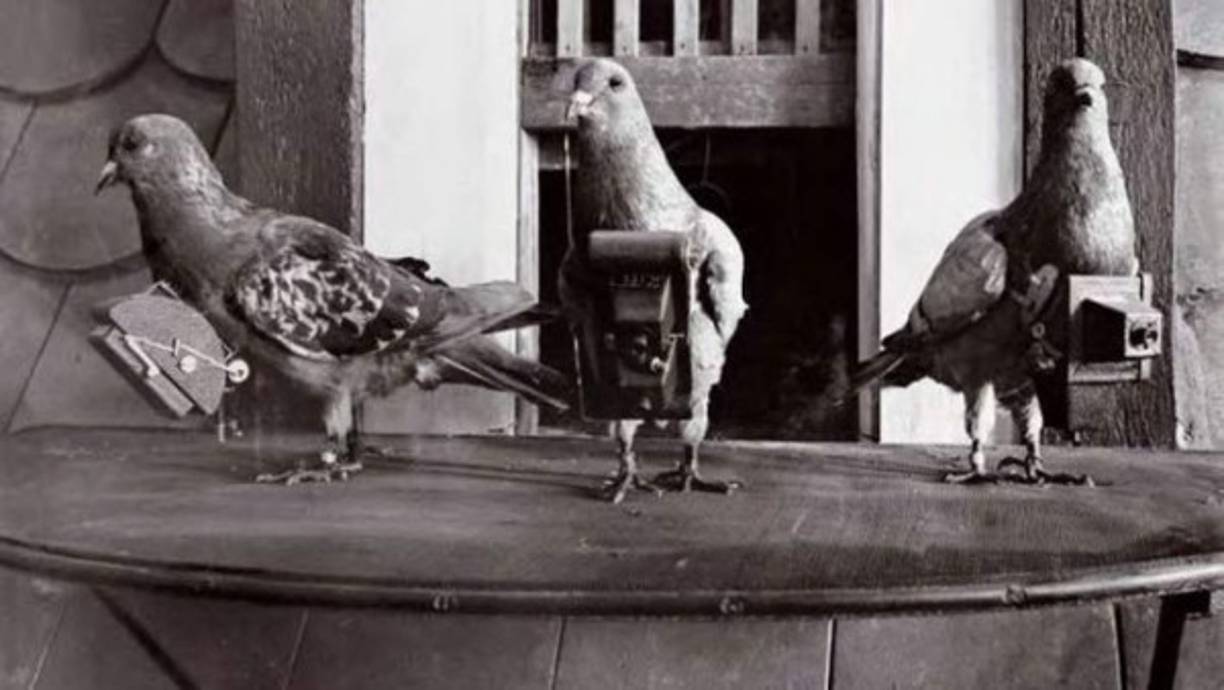 En una época en la que no existían ni los satélites y mucho menos Google Earth, parecía imposible ver imágenes 'a vuelo de pájaro' de nuestras ciudades.<br/>Y eso fue precisamente lo que pensó el inventor alemán Julis Neubronner, quien en 1908 patentó una MICROCÁMARA para ser usada por PALOMAS.<br/>Una vez que las aves se lanzaban a volar, un temporizador se encargaba de tomar las fotos en pleno vuelo, ofreciéndonos imágenes de la ciudad y sus calles, vistas desde lo alto.