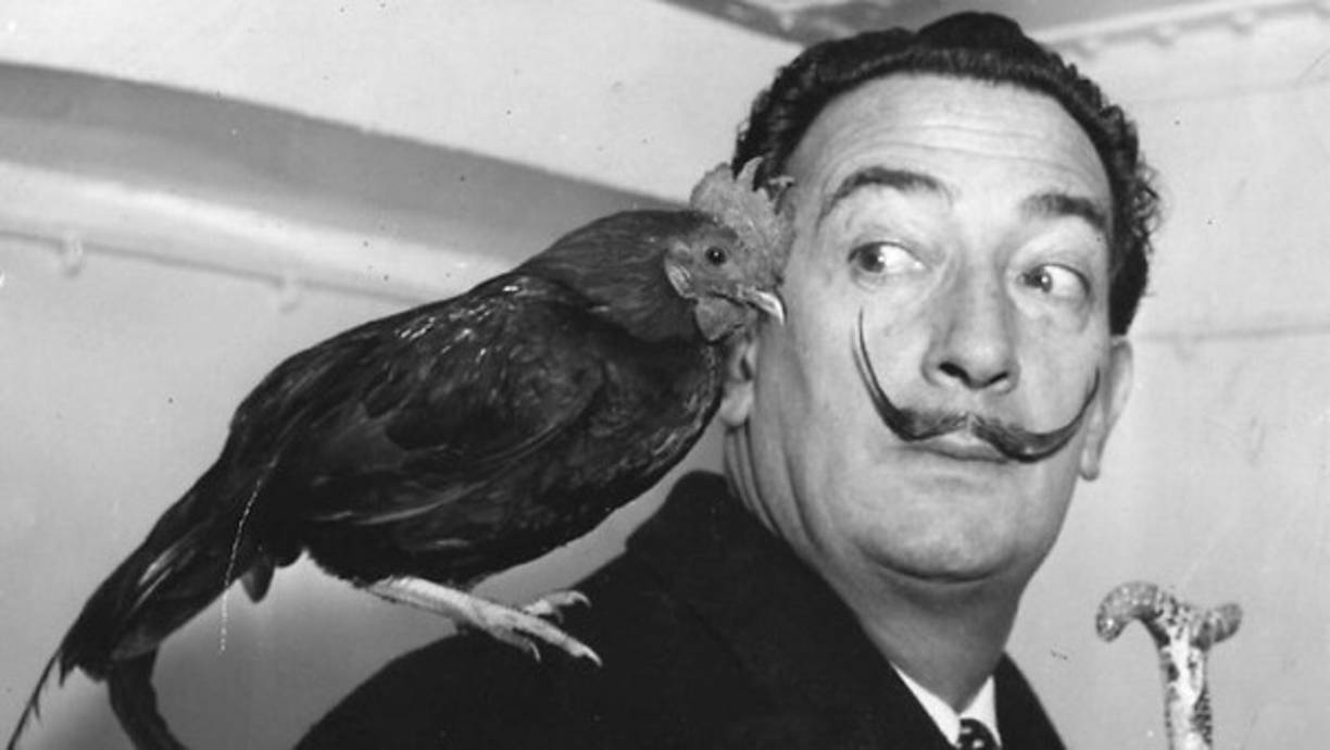 Salvador Dalí fue un extravagante escenógrafo,escritor,escultor y pintor trascendental del movimiento surrealista del pasado siglo XX. Foto:stilo.com.mx. Dalí posa junto a un gallo en su visita a México.