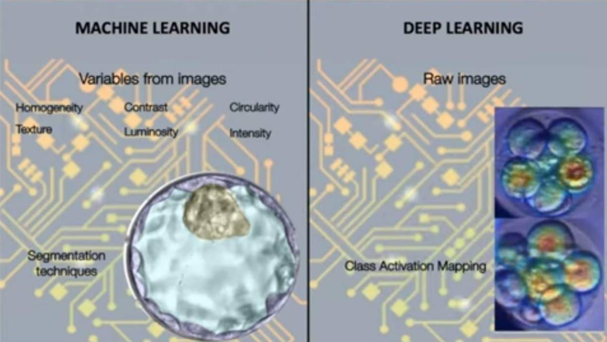 La Inteligencia Artificial (IA) es la combinación de algoritmos planteados con el propósito de crear máquinas que presenten capacidades similares a las del ser humano. Hoy en Honduras sirve para diagnósticos y tratamientos en medicina reproductiva como el caso de Victoria de Dios.