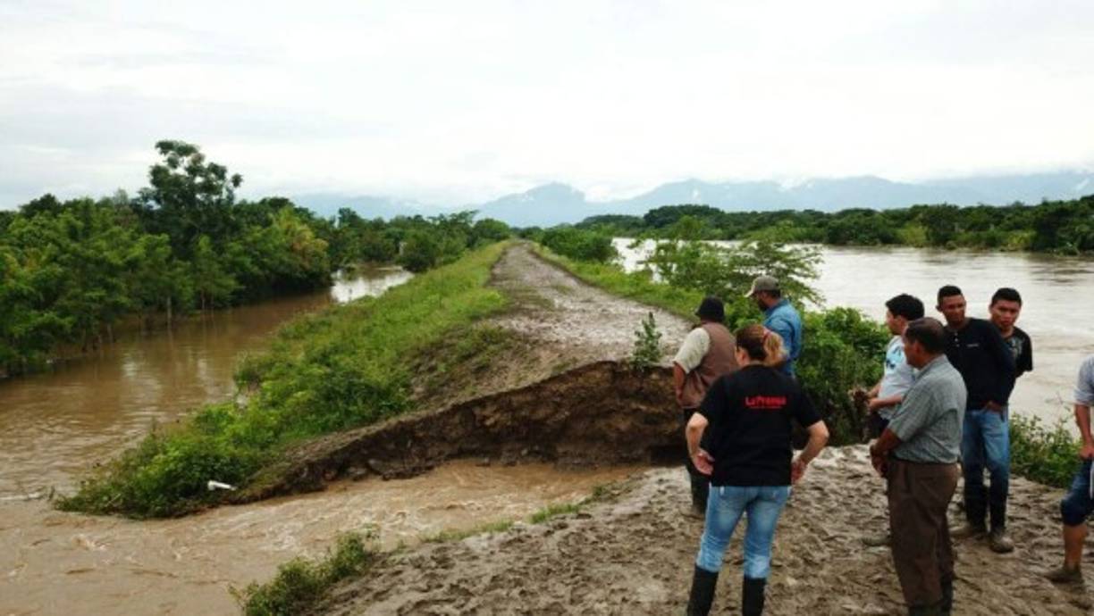 Los principales daños se han dado en La Ceiba, Tocoa, La Lima y otros municipios de la zona norte.