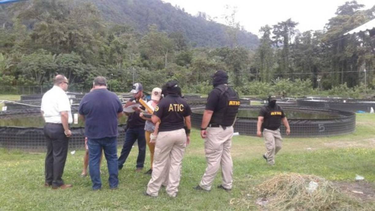 En seguimiento al proceso de embargo, los agentes incautaron una finca con criaderos de tilapia, en Potrerillos, Cortés, del exministro de Agricultura y Ganadería (SAG), Jacobo Regalado. En esta propiedad hay seis piletas que son utilizadas para la crianza de tilapia, y en las cuales se realizó una reciente inversión de unos 7 millones de lempiras. Regalado se encuentra con prisión preventiva en el Primer Batallón de Infantería y es una de las 38 personas que fueron acusados por el latrocinio en la SAG.