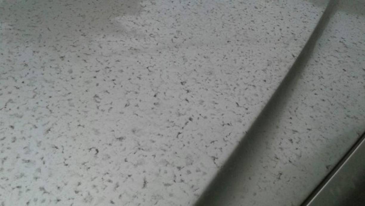 Donde podía apreciarse es en la superficie de los vehículos.