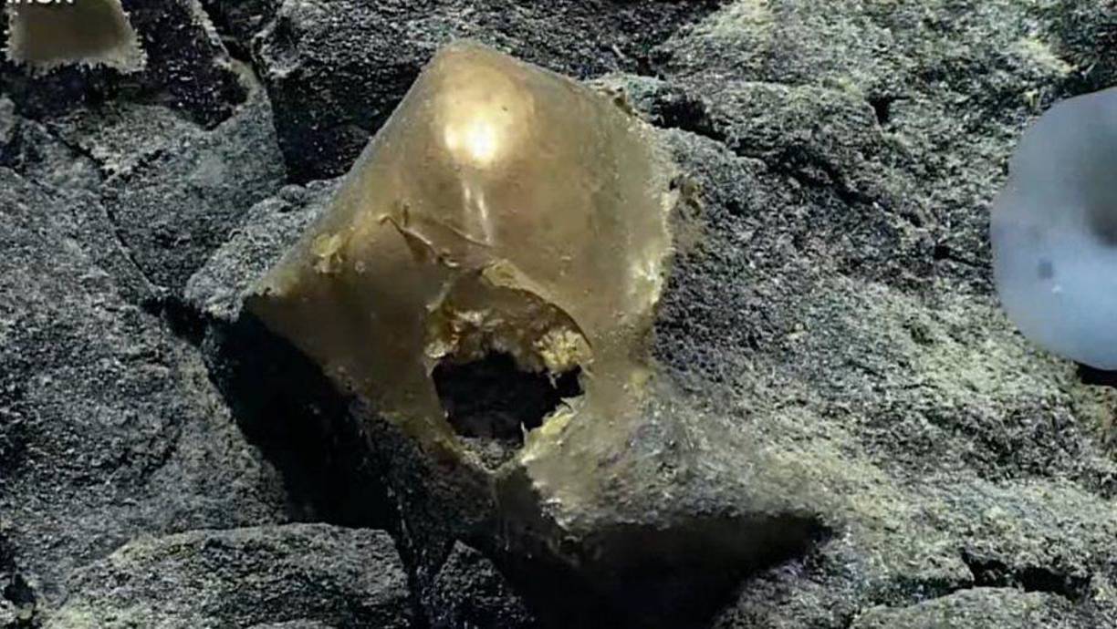 El misterioso objeto fue encontrado en un enclave de lecho marino cerca de un volcán submarino, en el Golfo de Alaska, a 400 kilómetros de la costa y a tres kilómetros de profundidaddel mar.