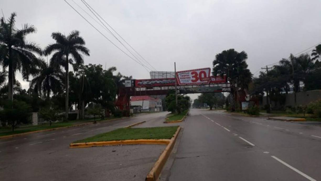 Zelaya dijo a Hoy Mismo que demanda cotejar la copia de 5.174 actas para verificar si coinciden las que ellos tienen con las que el TSE subió al sistema de cómputo, ya que tiene dudas del escrutinio debido a interrupciones sospechosas del sistema informático del TSE, que se extendió hasta cinco horas en una ocasión.<br/><br/>