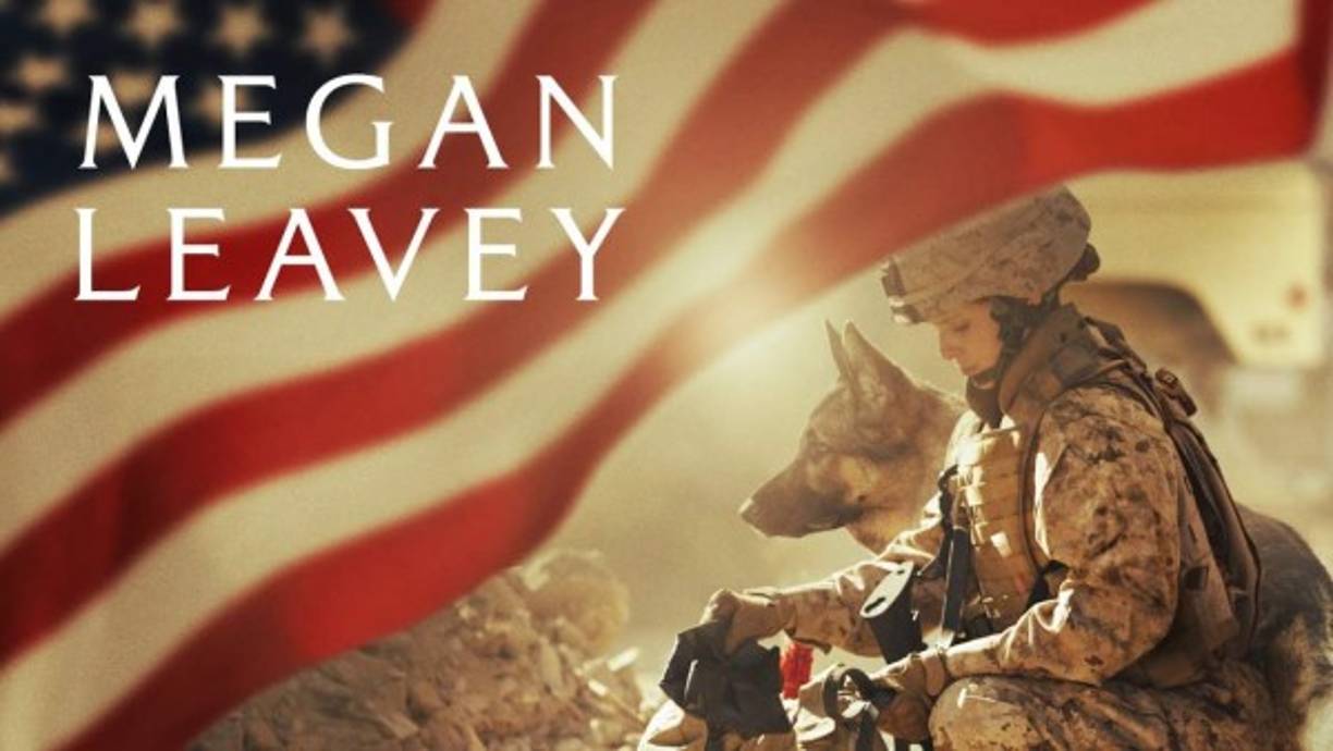 En octavo lugar 'Megan Leavey'con 3,8 millones de dólares.