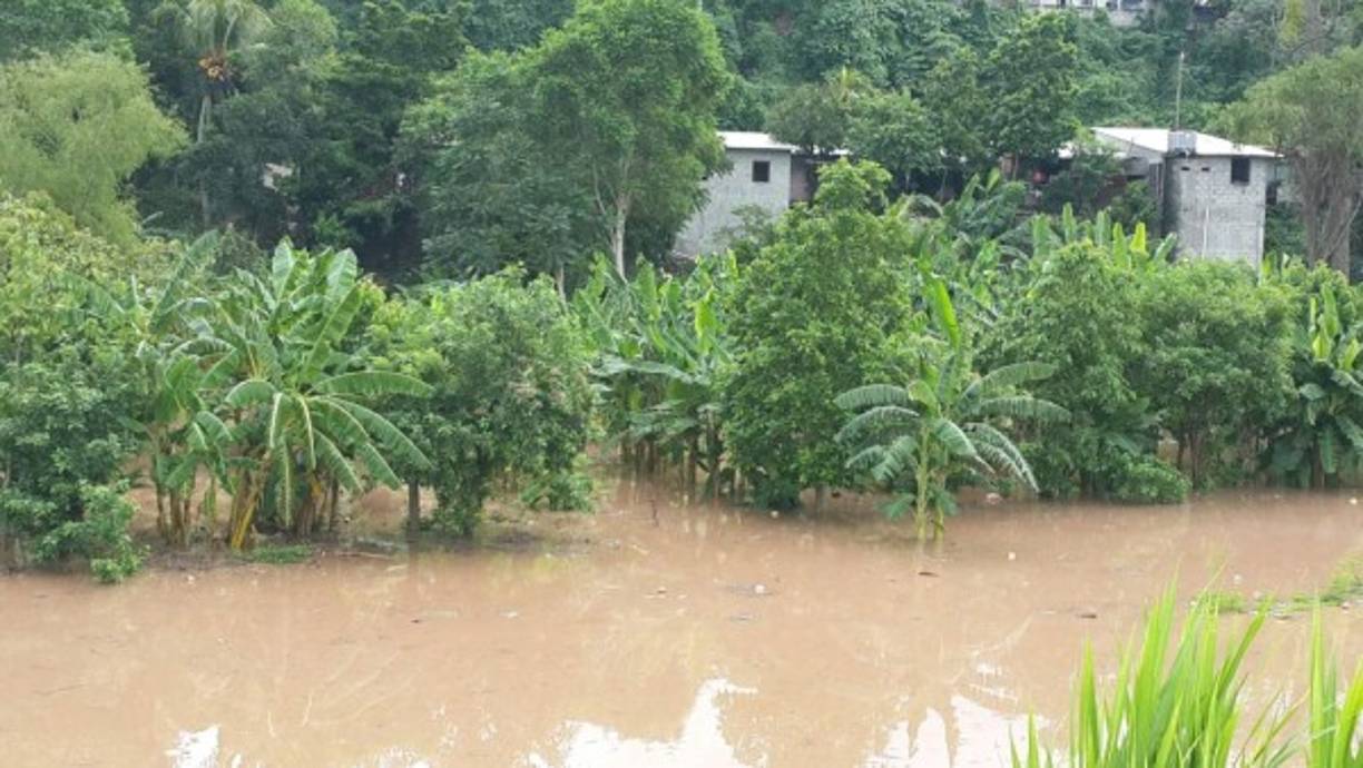 Los comités de emergencias cerraron provisionalmente el puente antiguo de la localidad.