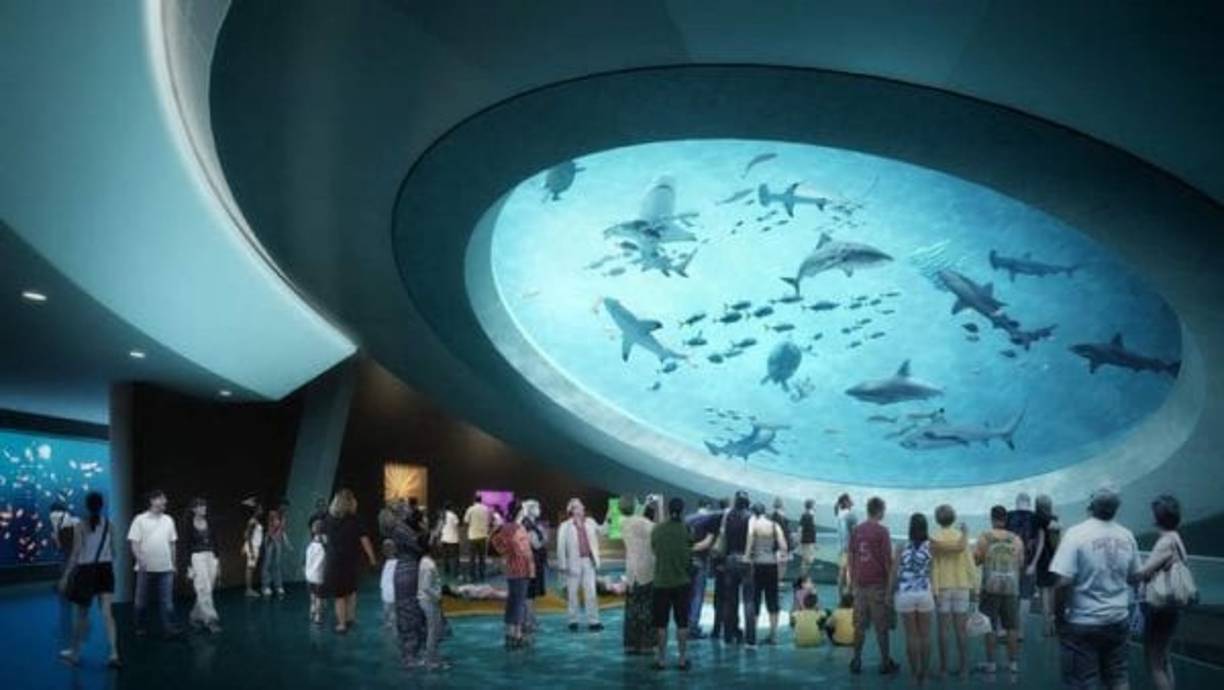 Su moderno planetario de 250 asientos con cúpula de 20 metros de ancho y efecto 3D y el acuario de tres plantas y 500,000 galones (1,8 millones de litros) de agua, sin duda la cabeza y el corazón de este proyecto de avanzada tecnología dirigido a fomentar y divulgar el conocimiento científico. EFE