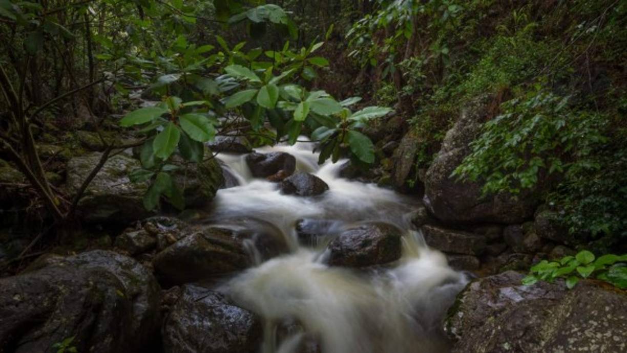 En la montaña se encuentran diversas fuentes de agua que permite a los turistas refrescarse mientras hacen sus recorridos.