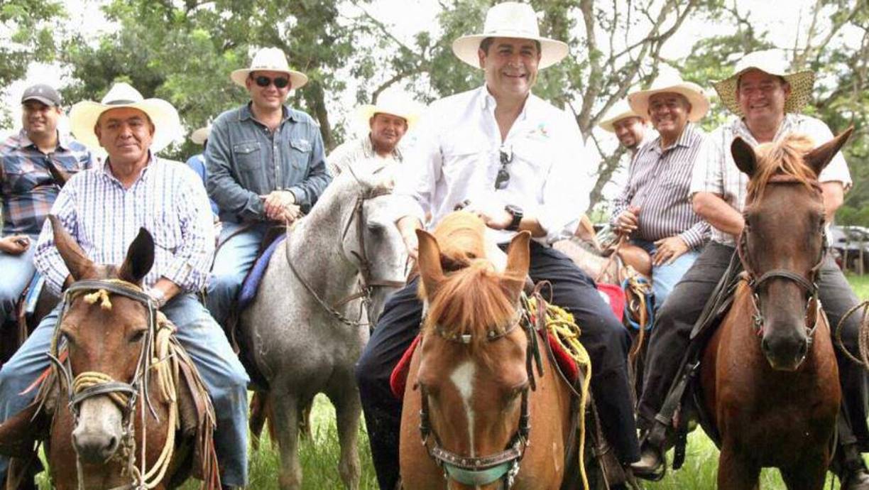 “Tienen un alto costo de mantenimiento y eso conlleva una delicadeza en el tratamiento, ante eso se prefiere mejor venderlos y administrar el producto financiero”, manifestó.