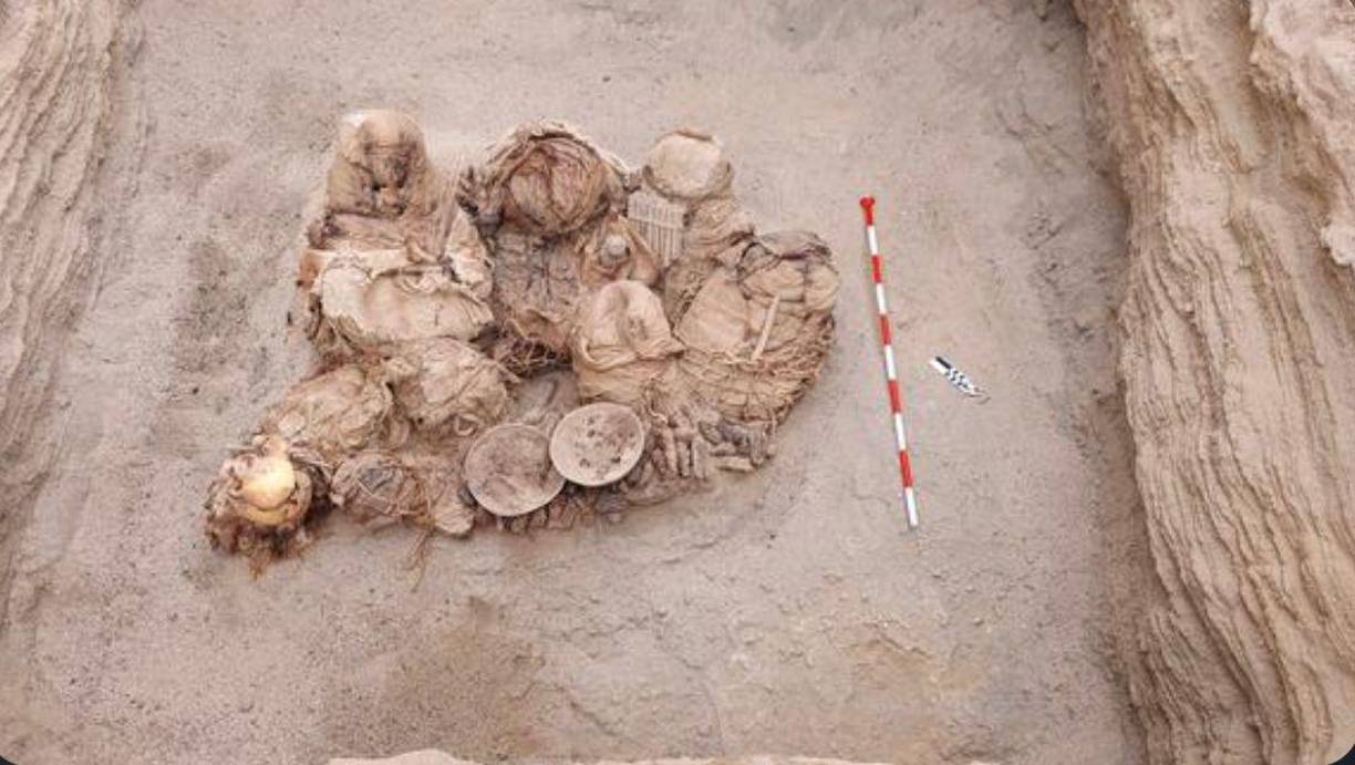 “Los restos estaban envueltos en algodón, en hojas de pacae (una leguminosa) y en tela de algodón natural, que en algunos casos estaba decorado”, detalló la arqueóloga Mercedes Vara mientras limpiaba con cuidado el fardo de un bebé.