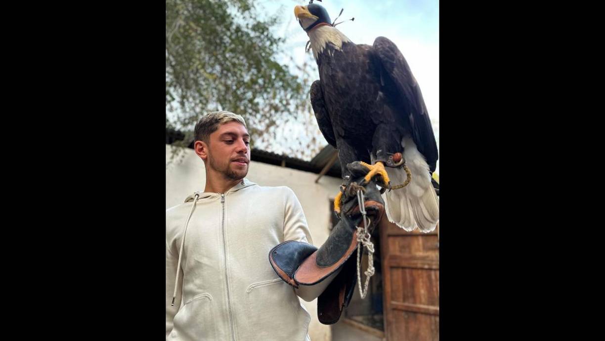  A Fede Valverde le apodaban el Pajarito por su suave voz cuando estaba joven, ahora los madridistas lo llaman el Halcón. 