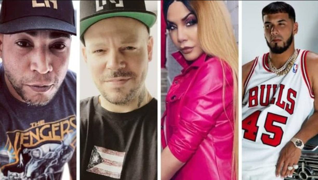 Famosos como Don Omar o Residente defendieron a la icónica cantante, una de las primeras mujeres en el género.<br/><br/>“Este mensaje es para los chamaquitos fanáticos del género urbano y para algunos de los que están empezando ahora, tienen que saber algo, el género urbano lleva años batallando con las puertas cerradas y ha sido bien jodido cabrón abrir esas puertas (...) Tienen que respetar a la gente que llevan años en esto y no lo digo por mí, lo digo por colegas míos. Tienen que entender que a esa puerta se tuvo que darle duro, mucha gente formó parte para que el género urbano esté abierto ahora”, dijo Residente.<br/><br/>'Cuando Don Omar tenía el tema ‘Dale Don, Dale’, Ivy Queen era la artista más tocada en Colombia. En Medellín, Colombia. Ninguno de los otros artistas había despuntado como la estaba hacienda ella. Ivy tenía un concierto gigantesco.....habían casi 54,000 personas o 55,000 personas en aquel estadio. ¿Y ustedes saben porqué Don Omar estuvo allí? Porque Ivy Queen habló de Don Omar y esa fue mi primera llegada (a Colombia)”, defendió el otro colega de la cantante.<br/><br/><br/>