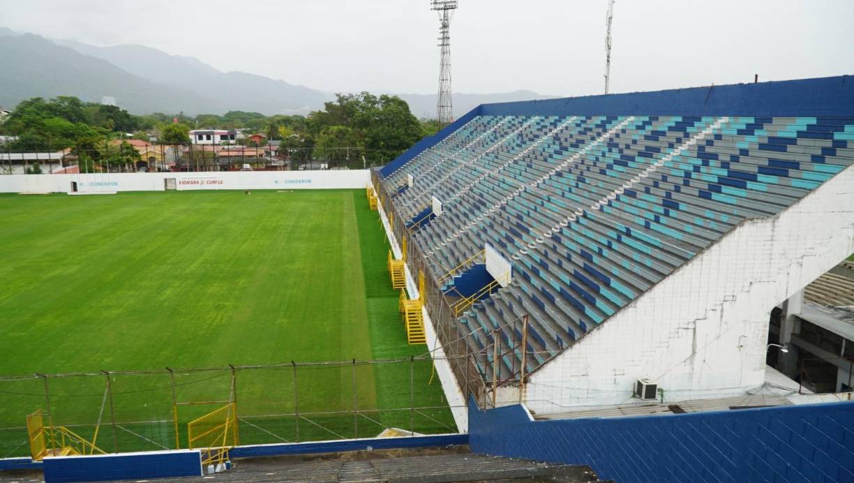 A un costado de la grama híbrido se instaló grama sintética, la diferencia se nota.