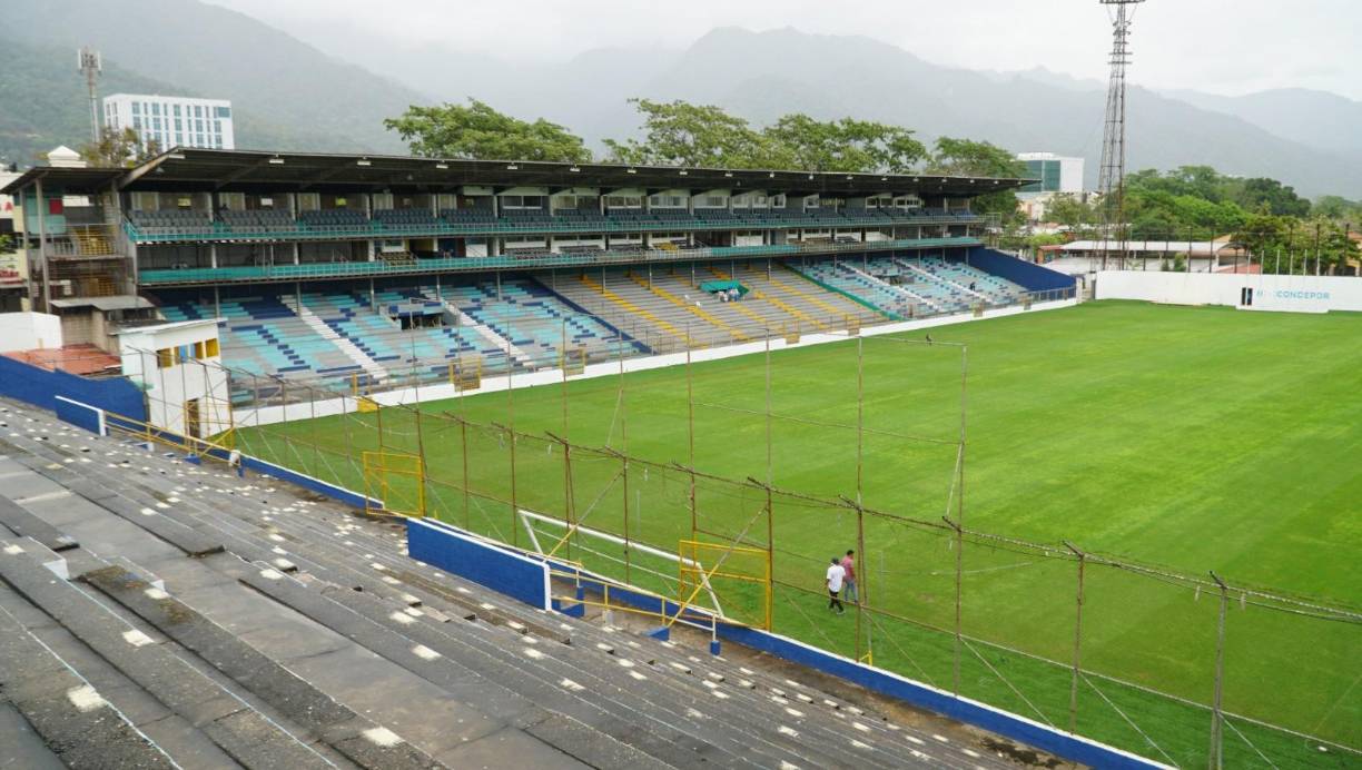 Así luce desde las alturas el césped híbrido del estadio Morazán. En un 95% es natual, grama bermuda y un 5% artificial.