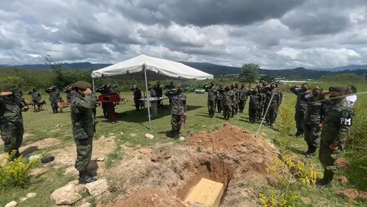 El can prestó sus servicios en el Primer Batallón Canino de la PMOP durante siete años, “logrando destacar en cada una de las misiones”.