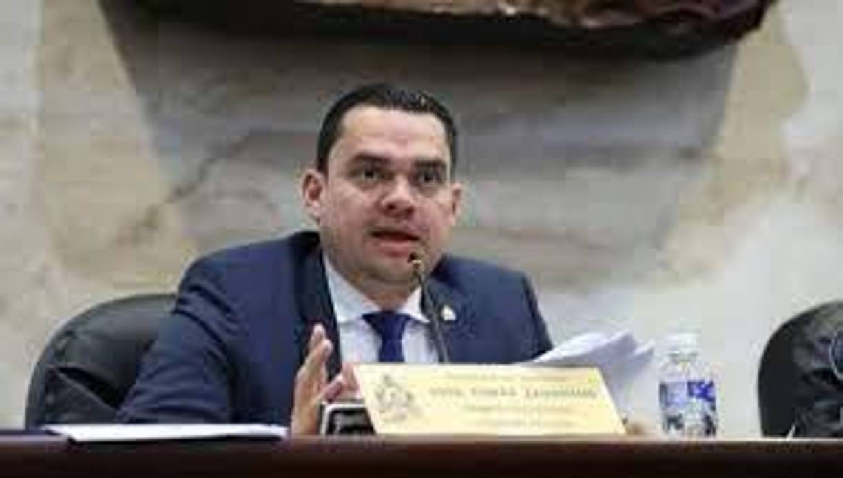 “Matrimonio gay necesita 96 votos. Quien hace la propuesta sabe que no los tiene, esto solo es un distractor, la bancada nacionalista rechaza rotundamente esta iniciativa”, dijo Tomás Zambrano, jefe de bancada del Partido Nacional. 