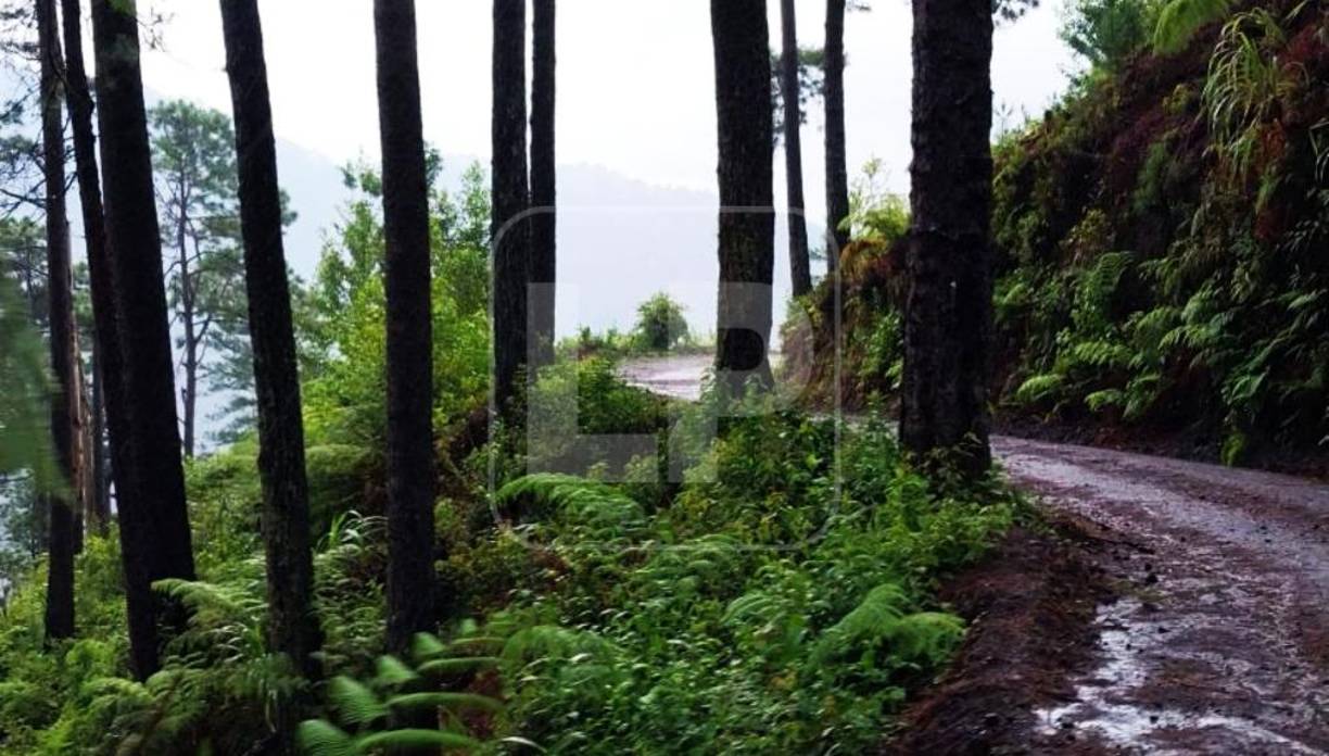 Además, la amenaza, la apertura de vías de acceso sin control ambiental, la minería ilegal, la deforestación (cambio de uso para el establecimiento de sistemas agropecuarios), cambio de los cursos naturales de agua, la tala y aprovechamiento ilegal de bosque (productos y subproductos forestales) y la falta de solución efectiva a los delitos ambientales remitidos a la Fiscalía Especial del Ambiente y otros conflictos sociales en materia de seguridad.