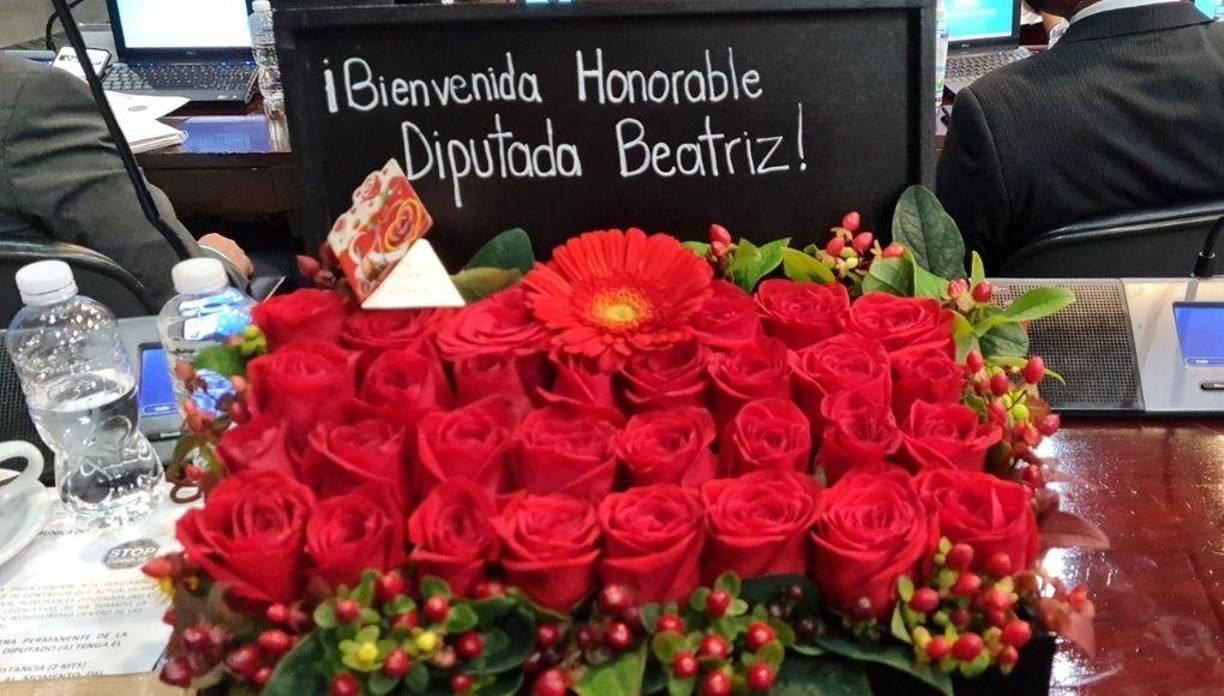 Un grupo de 17 diputados del Partido Libre la recibió con flores. “Gracias (...) por el regalo de bienvenida y sus cariñosos abrazos. Las flores alegran mucho la vida. Me encantan”, dijo ella.