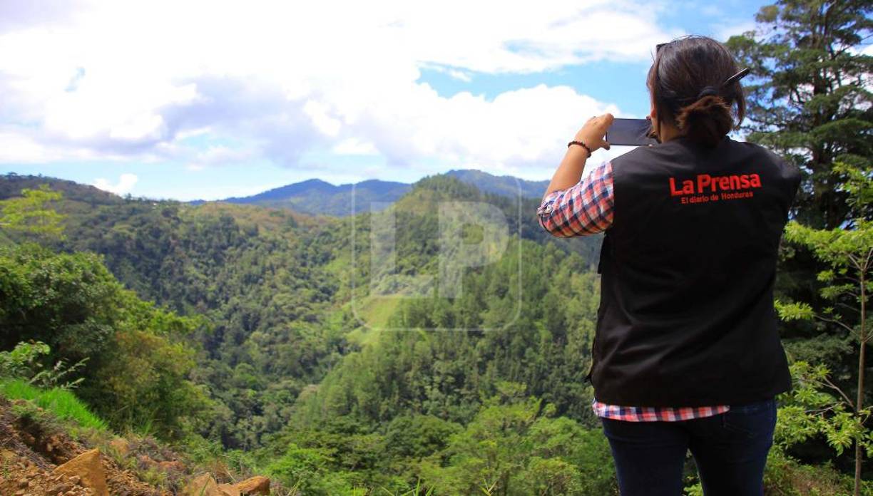 En Honduras, cada año son afectadas más de 60 mil hectáreas de bosques, en su mayoría en áreas protegidas y zonas de conservación. En el país, desde 2010 hasta 2019 fueron deforestadas 348 mil hectáreas de bosque mientras que de 2020 a 2021 la cifra representó 226 mil hectáreas, el 45% en áreas protegidas.