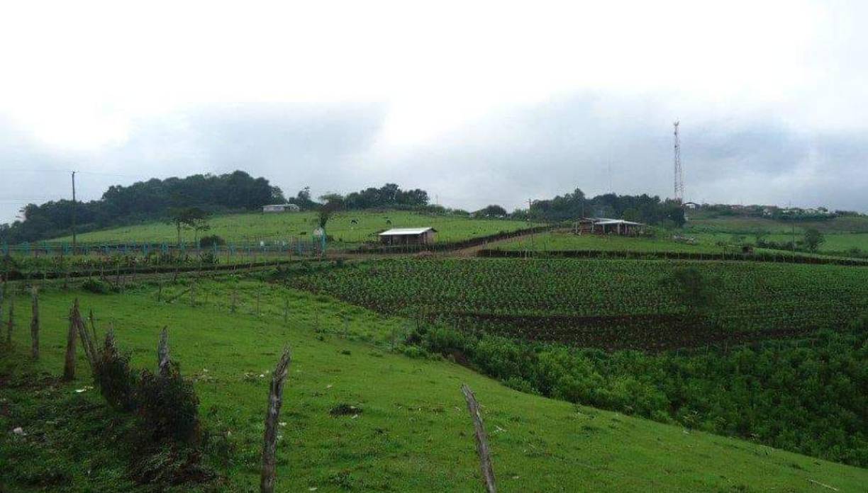 Según estadísticas de Sistema Estadístico Policial en Línea (SEPOL), los municipios en cero homicidio son: Chinacla, Yarula, Santa Ana, S.A del Norte, Lauterique, Mercedes de Oriente, Guajiquiro y Opatoro.